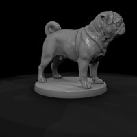 anim-12-pug-640296 — thumbnail 7