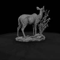 ant-068-greater-kudu-female — thumbnail 7