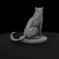 ant-005-bengal-tiger-female — thumbnail 7