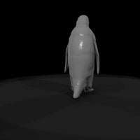 ant-124-emperor-penguin-male — thumbnail 7