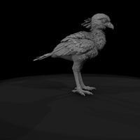 ant-294-secretary-bird-adolescent — thumbnail 7