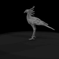ant-293-secretary-bird-female — thumbnail 7