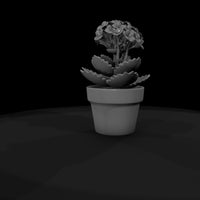 sculpted-kalanchoe-potted-succulent-miniature-3d-printable-525568 — thumbnail 8