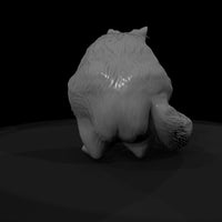 a-collection-of-housecats-persian-d66555ba-meshref — thumbnail 7