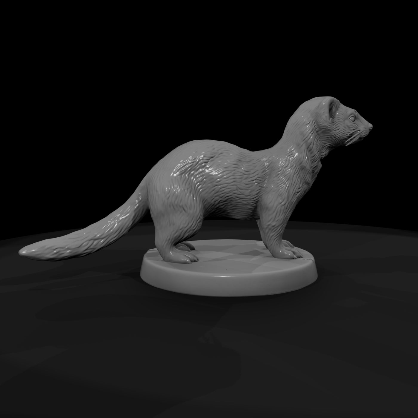 anim-28-ferret-5c2cc8