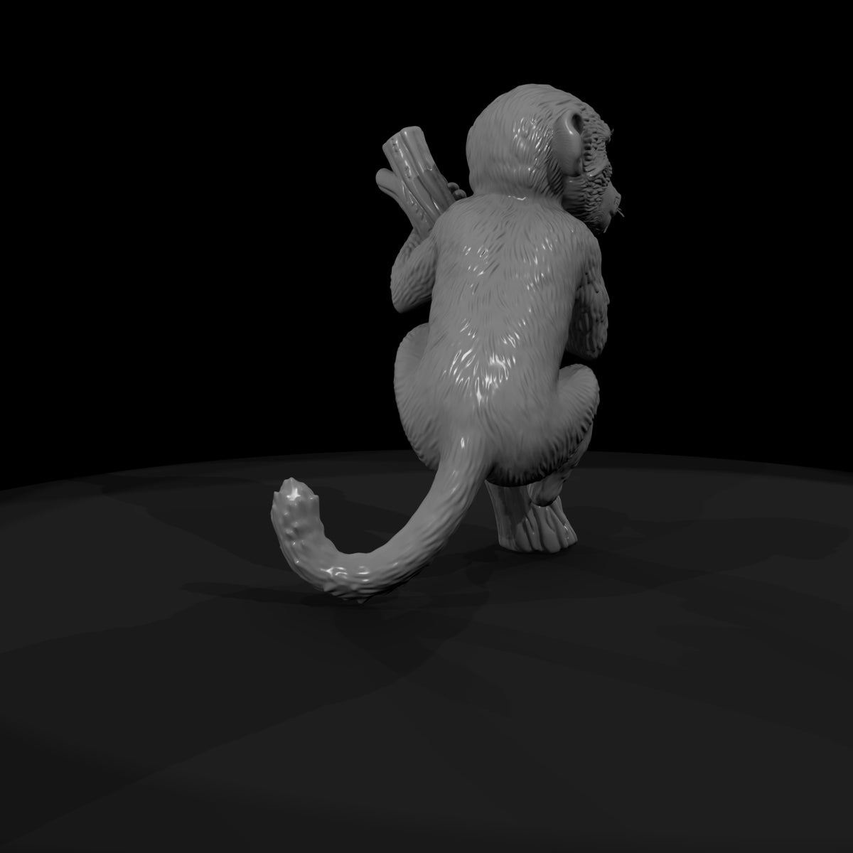 ant-198-olive-baboon-adolescent