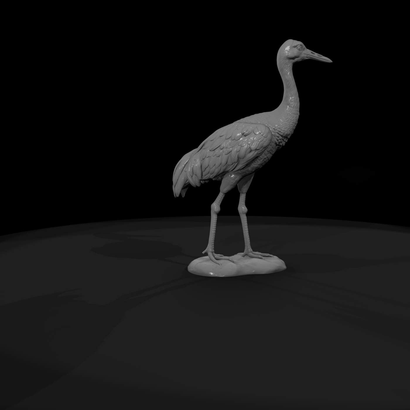 Ant 131 Sandhill Crane Female
