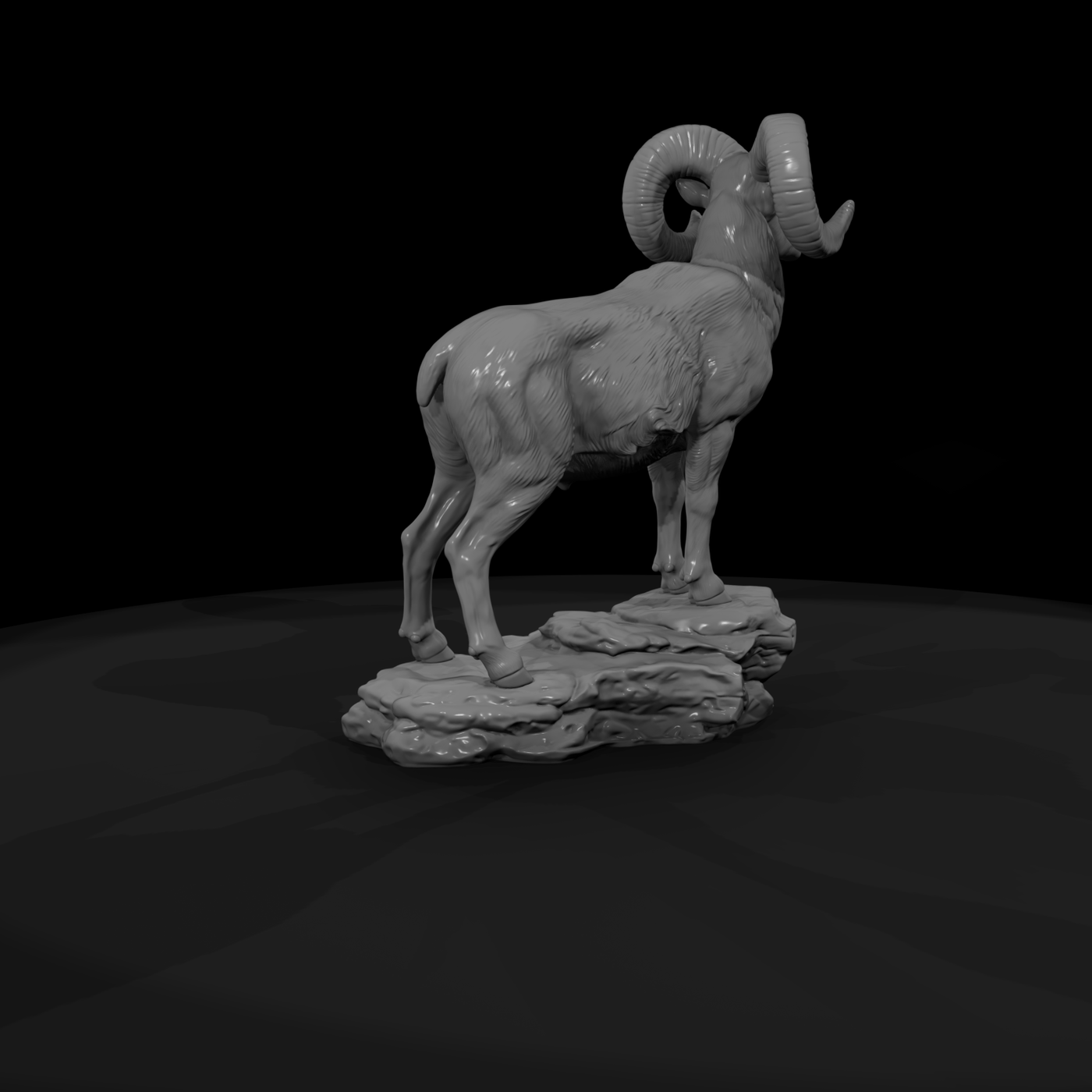 Ant 055 Bighorn Sheep Male