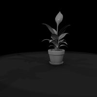 stylized-peace-lily-potted-plant-3d-printable-miniature-749768 — thumbnail 8