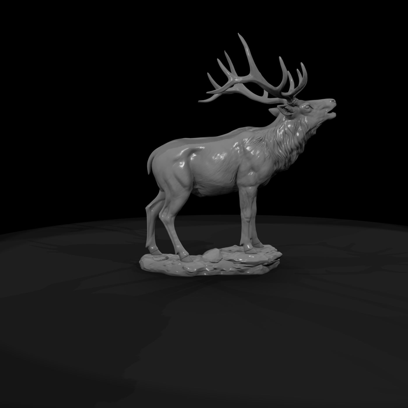 ant-043-elk-male