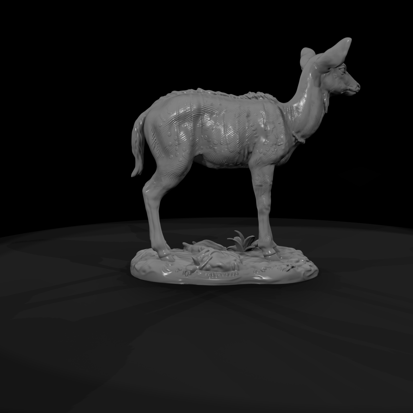 Young Nyala Antelope