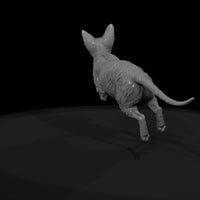a-collection-of-housecats-cornish-1f45c53c-meshref — thumbnail 7