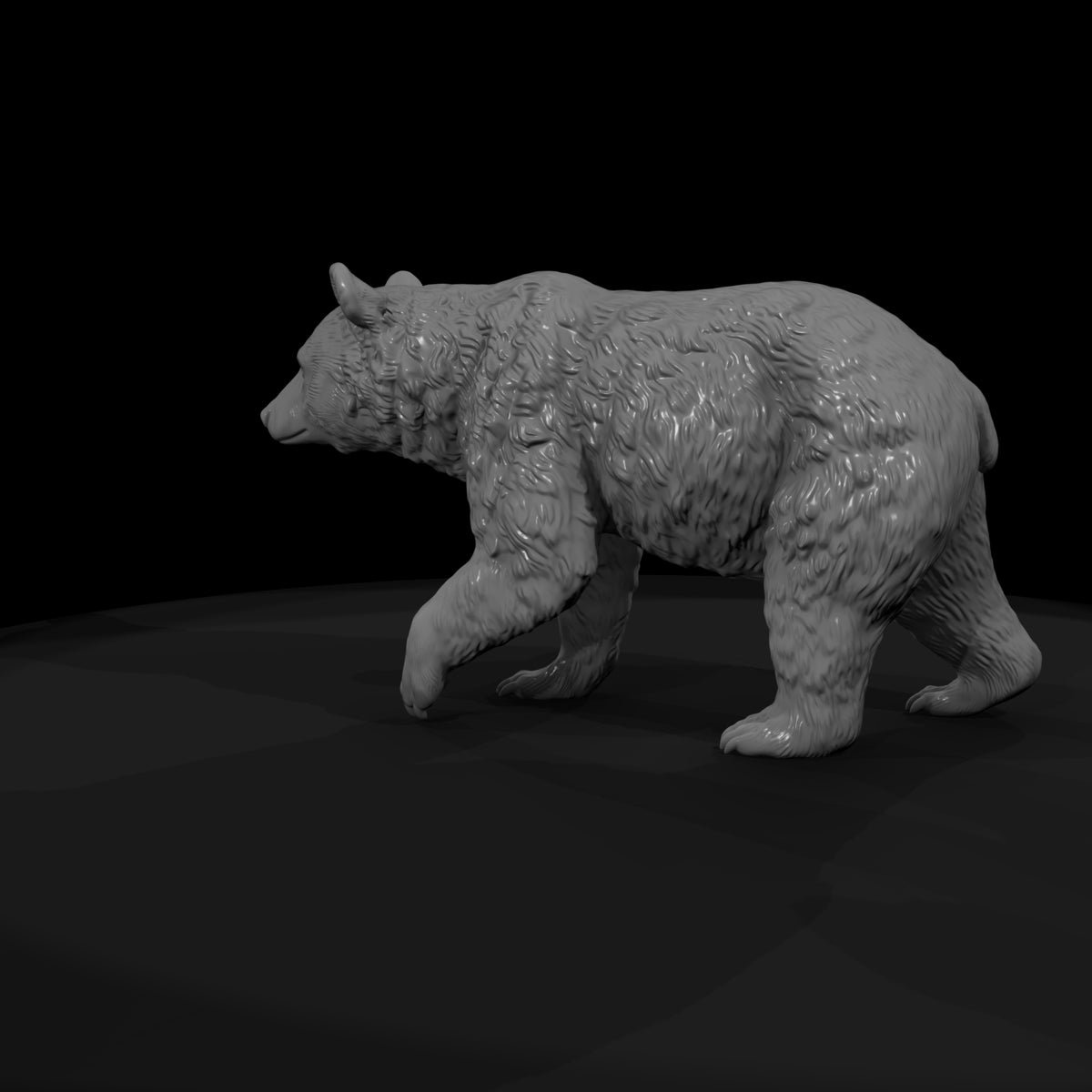 ant-212-american-black-bear-female