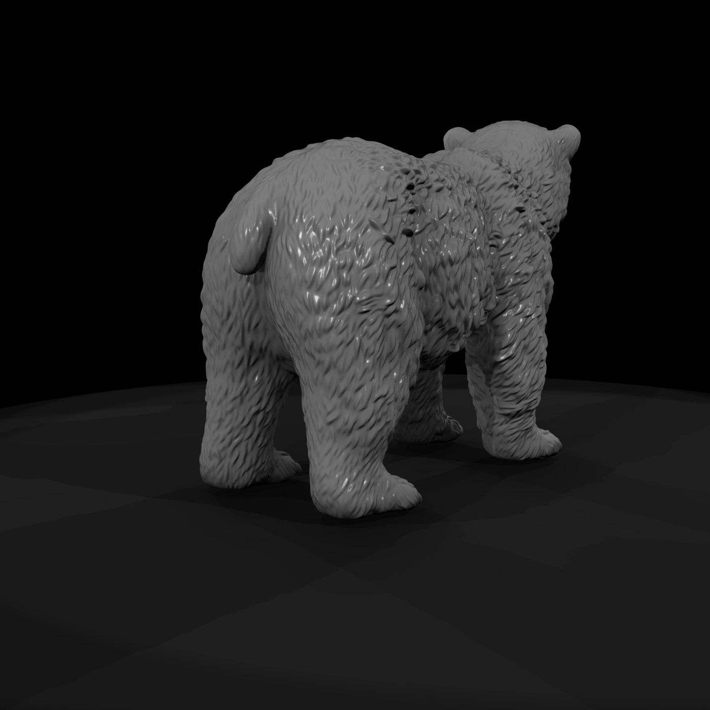 Young Polar Bear Standing