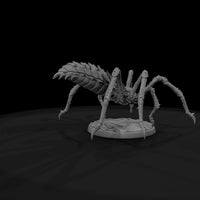 creature-p096-razor-leg-harvestman-beast-99158d — thumbnail 7
