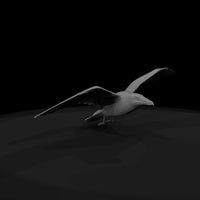 1980s-miami-beach-seagull-in — thumbnail 9