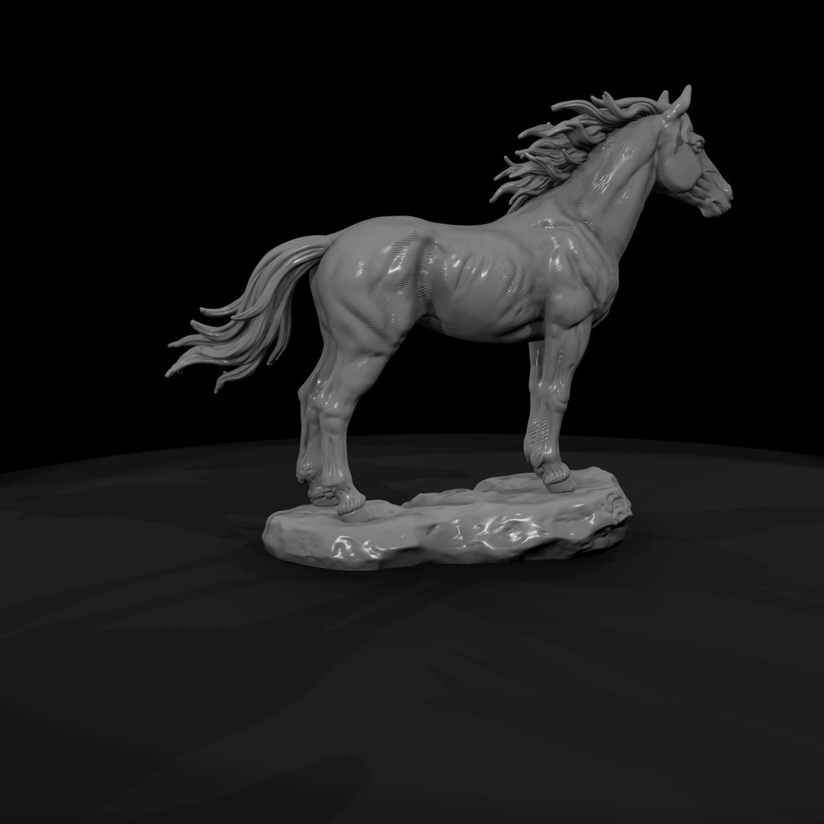 ww-0287-animal-wild-mustang