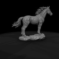 ww-0287-animal-wild-mustang — thumbnail 7