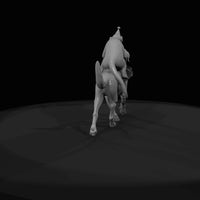 unknown-10 — thumbnail 7