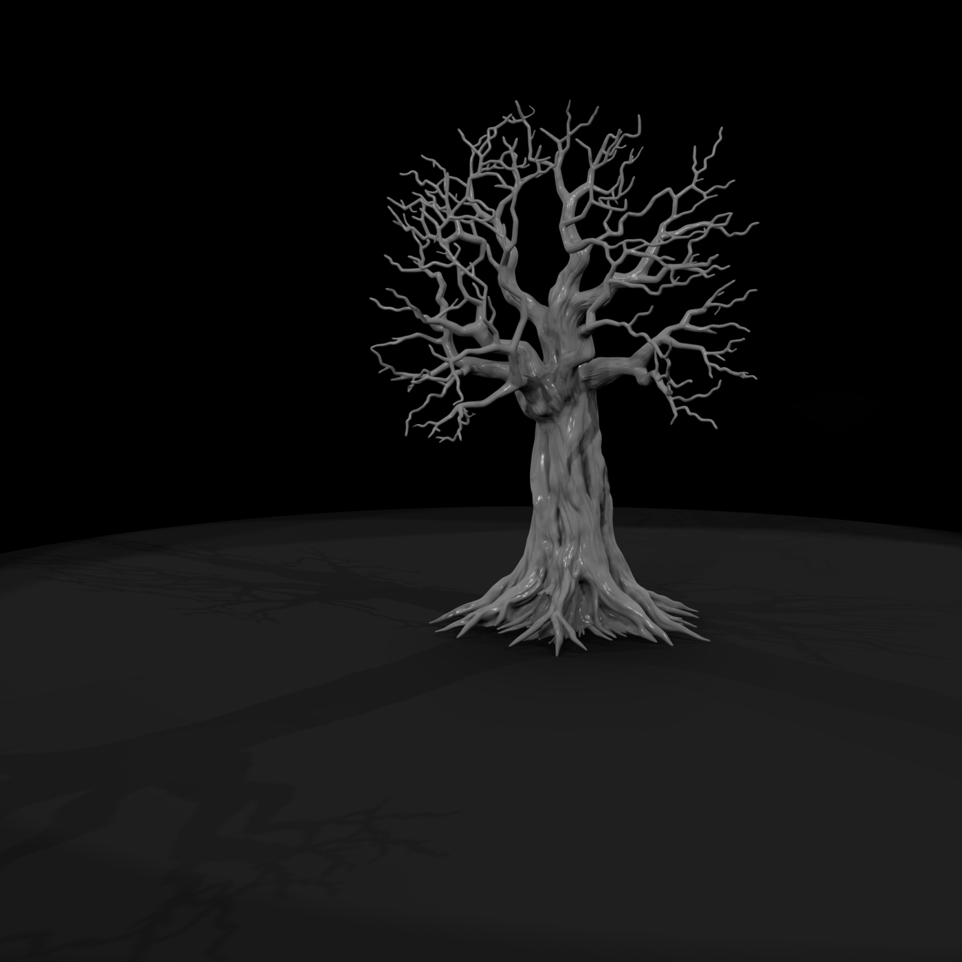 20260612 Gnarled Leafless Tree Roots Ed5Ca2Ae15