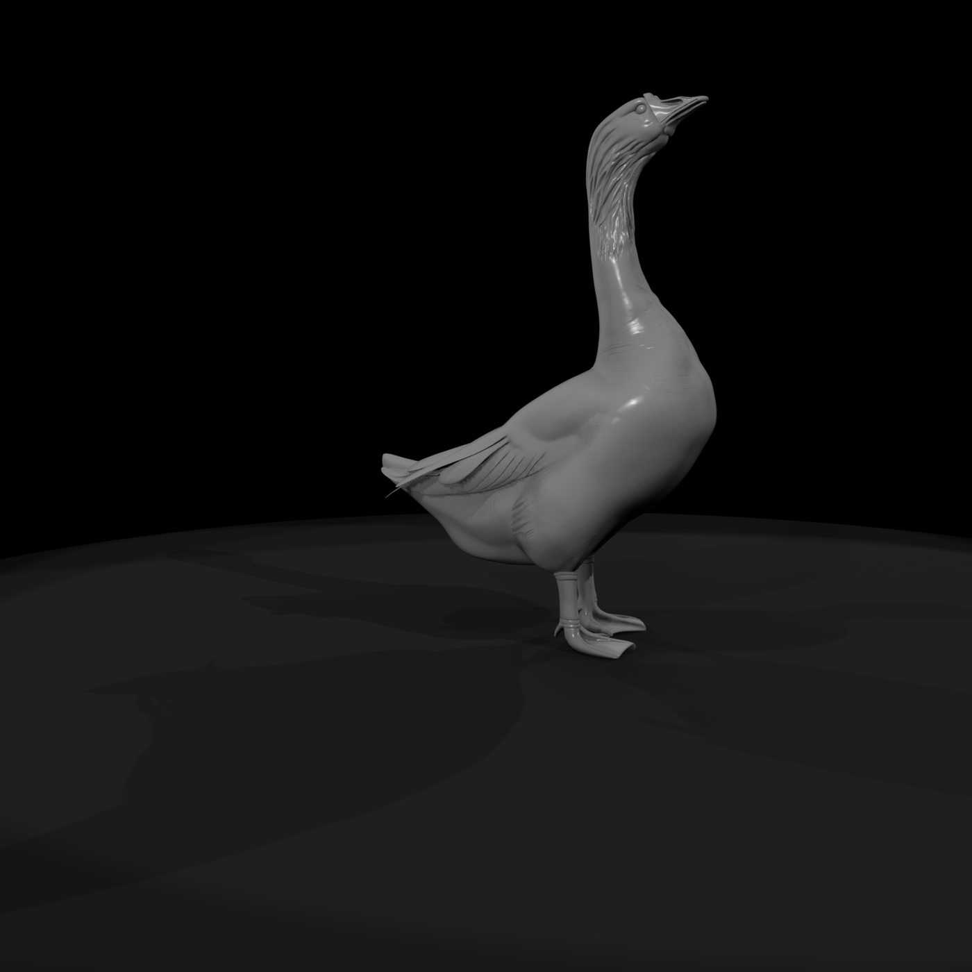 Standing Domestic Goose