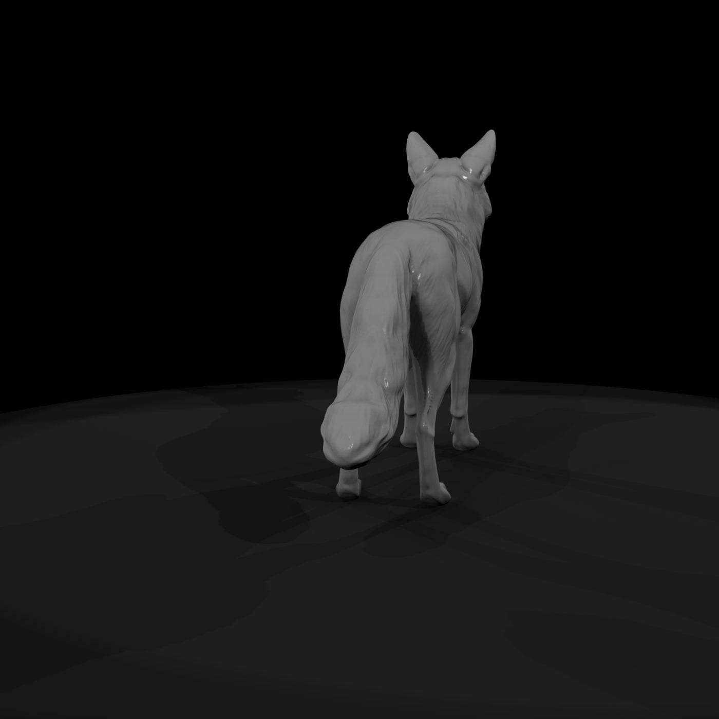 coyote