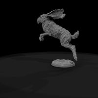 ww-0273-myth-giant-jackrabbit — thumbnail 7