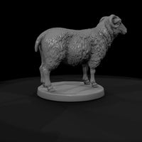 anim-20-sheep-666c93 — thumbnail 7