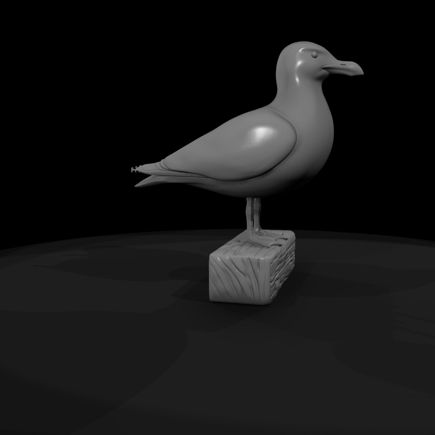 seagull