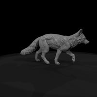 ww-0325-animal-gray-fox — thumbnail 7