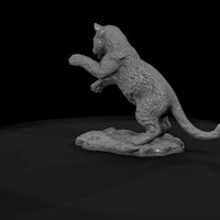 ant-009-leopard-adolescent — thumbnail 7