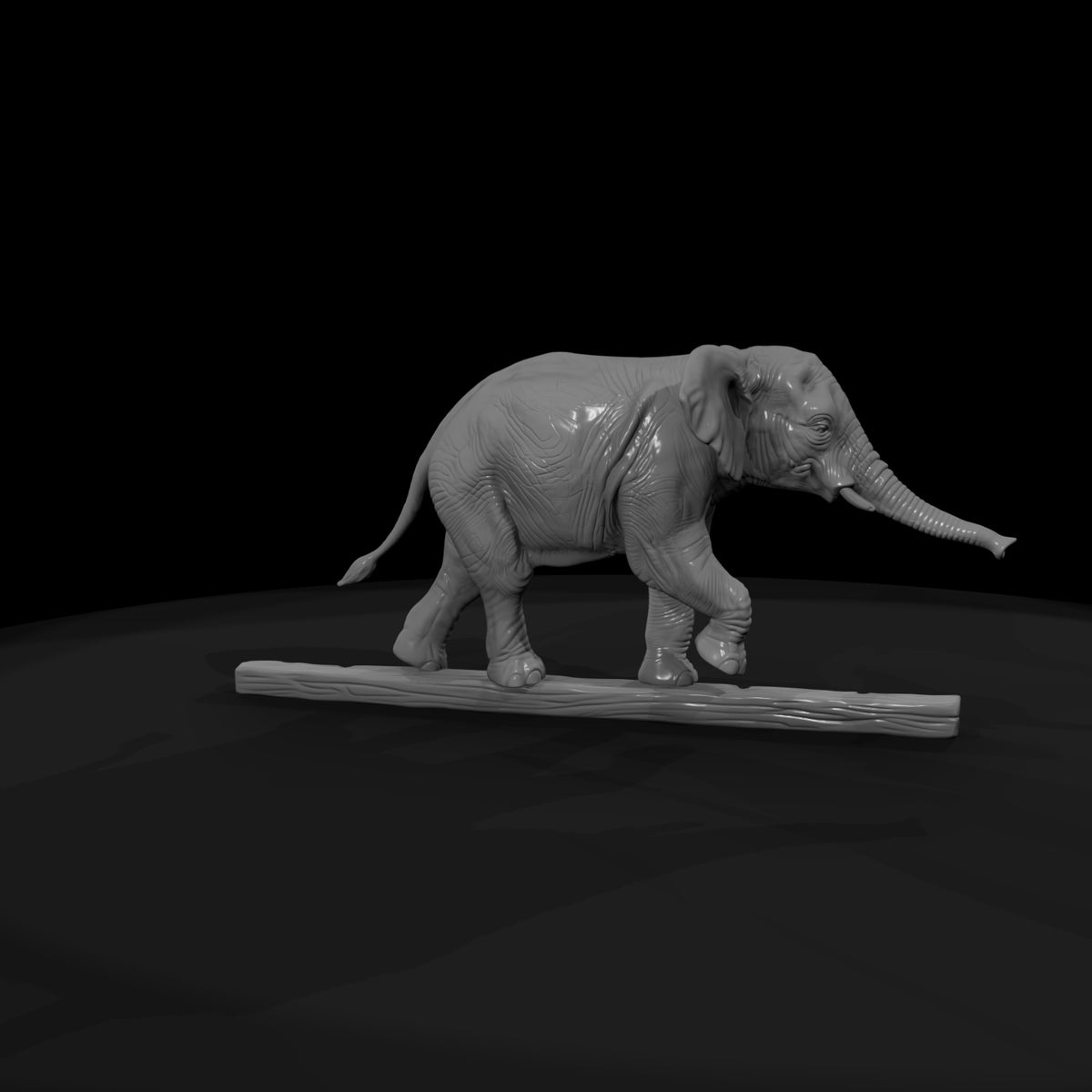cir-135-animal-tightrope-elephant