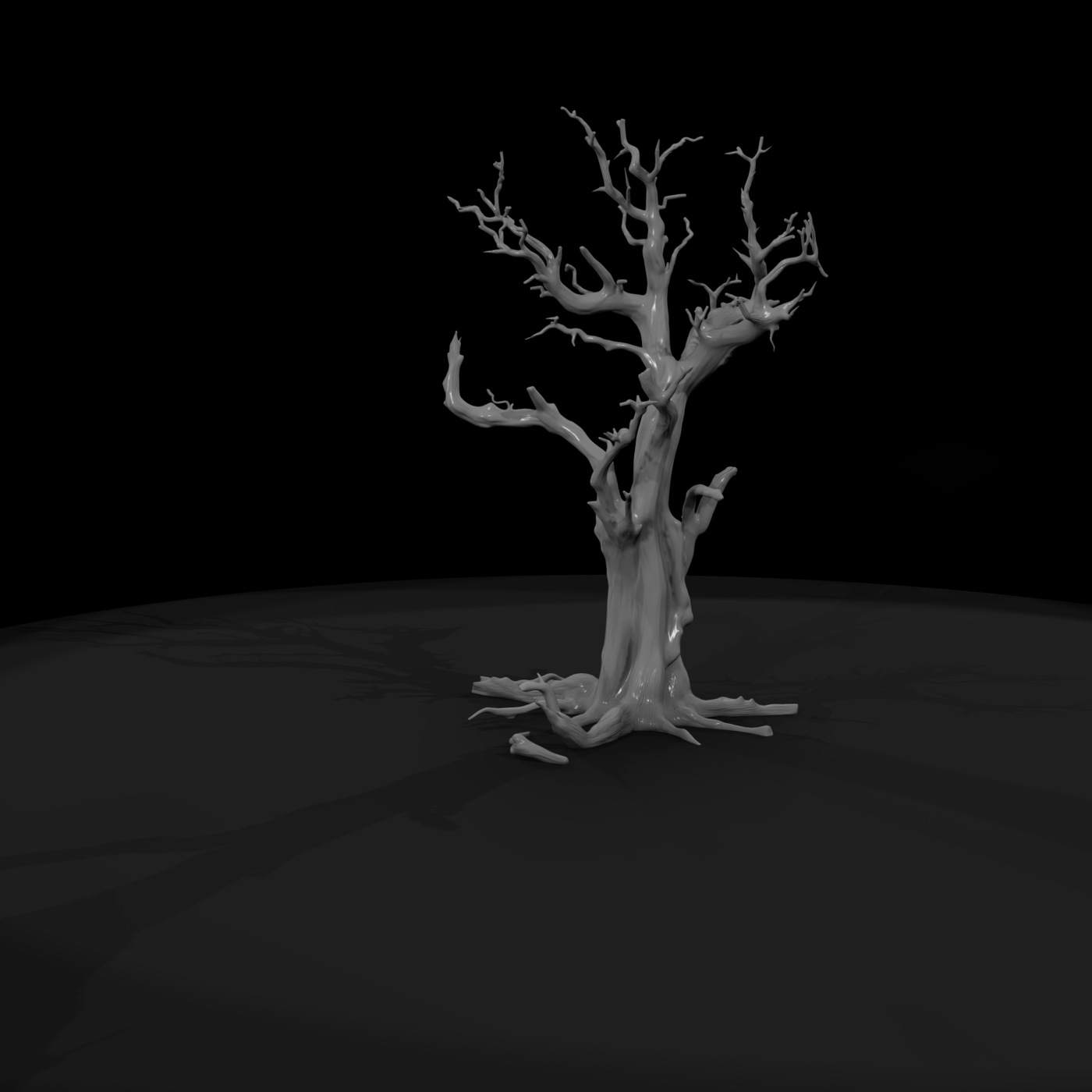 20260612 Gnarled Dead Tree 0A1498Bdad