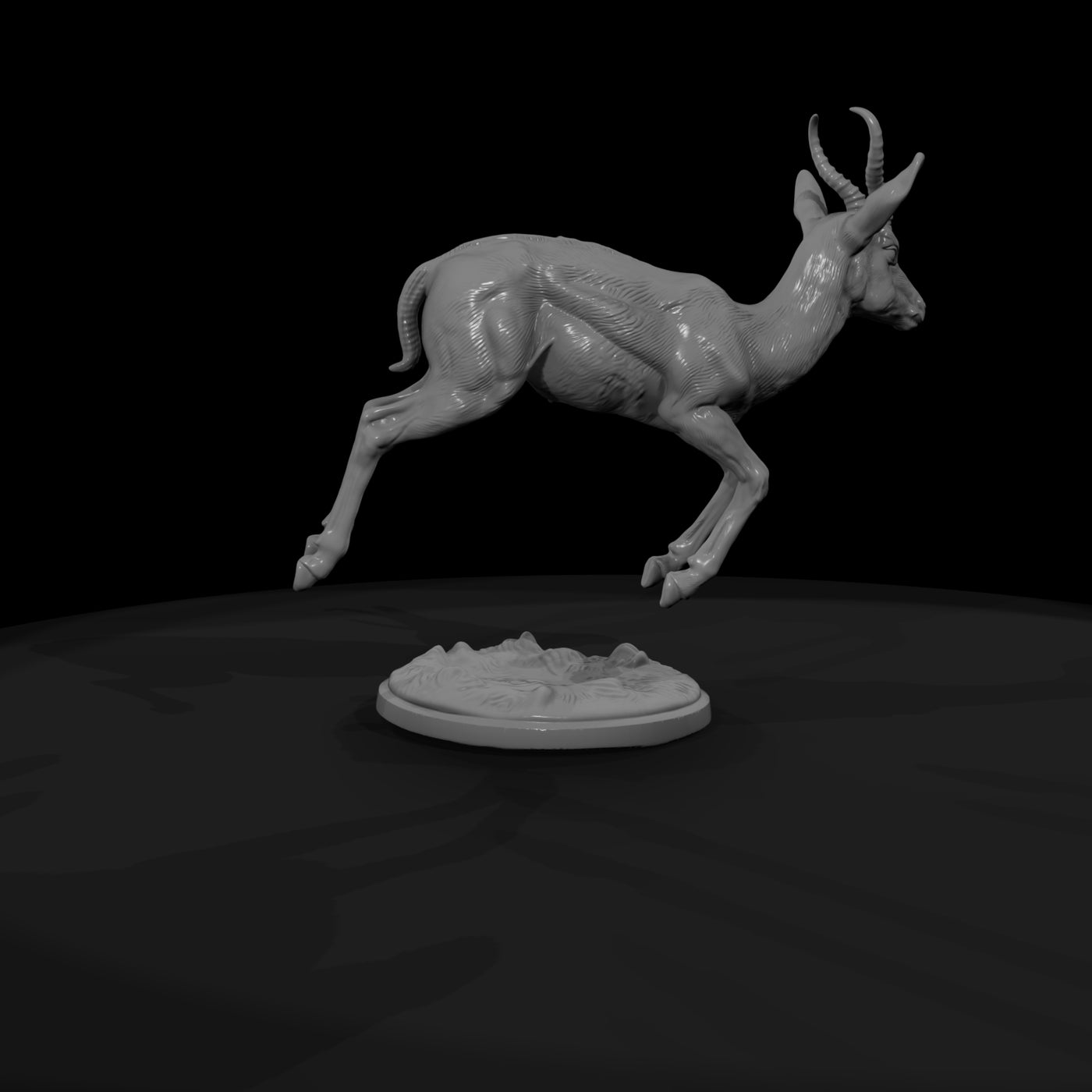 ant-238-springbok-male