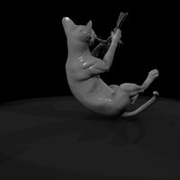 a-collection-of-housecats-tonkinese-5157f07a-meshr — thumbnail 7