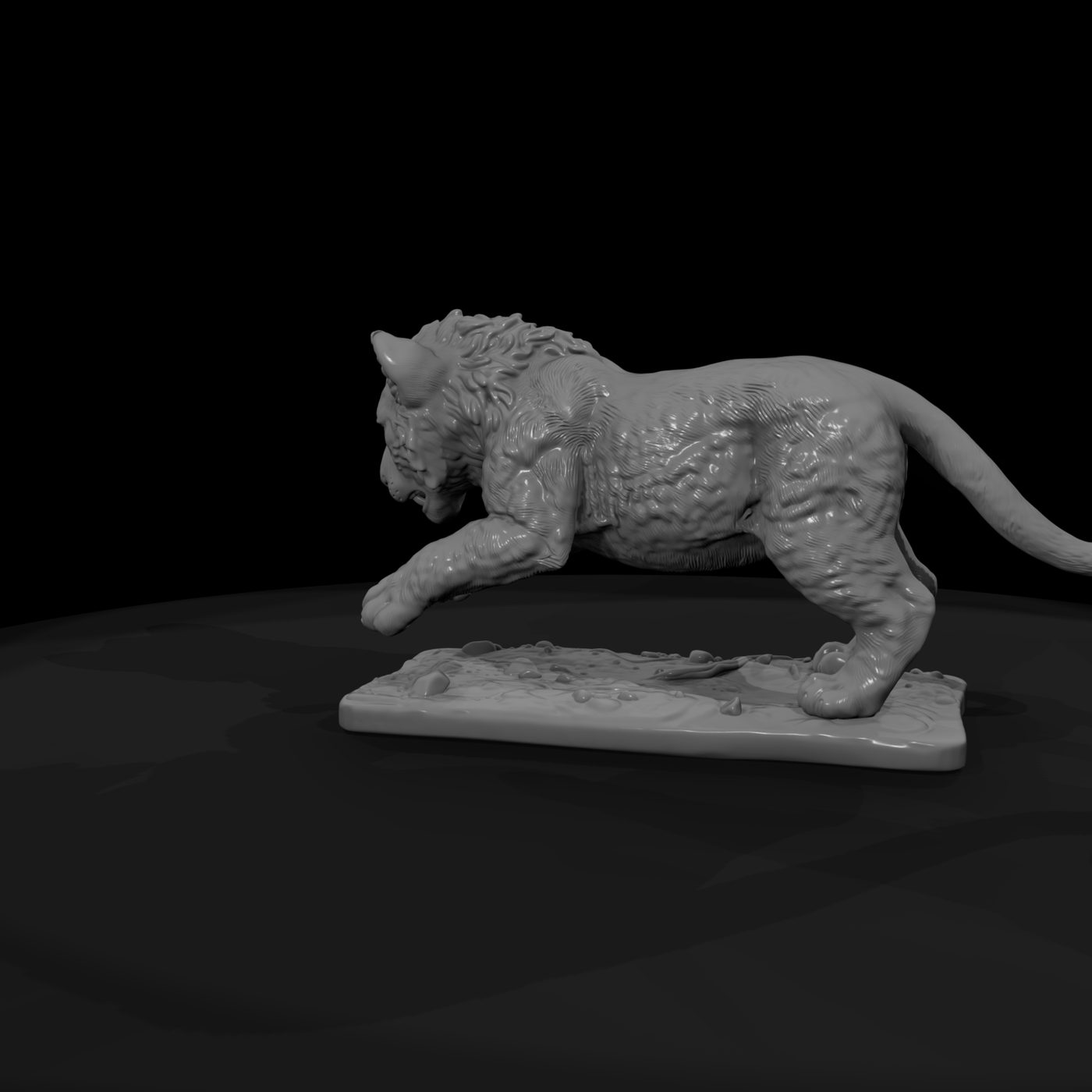 Young Lion on the Prowl