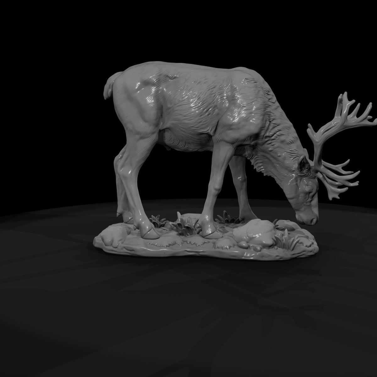 ant-062-caribou-female