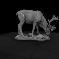 ant-062-caribou-female — thumbnail 7