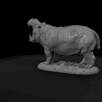 ant-034-hippopotamus-male — thumbnail 7