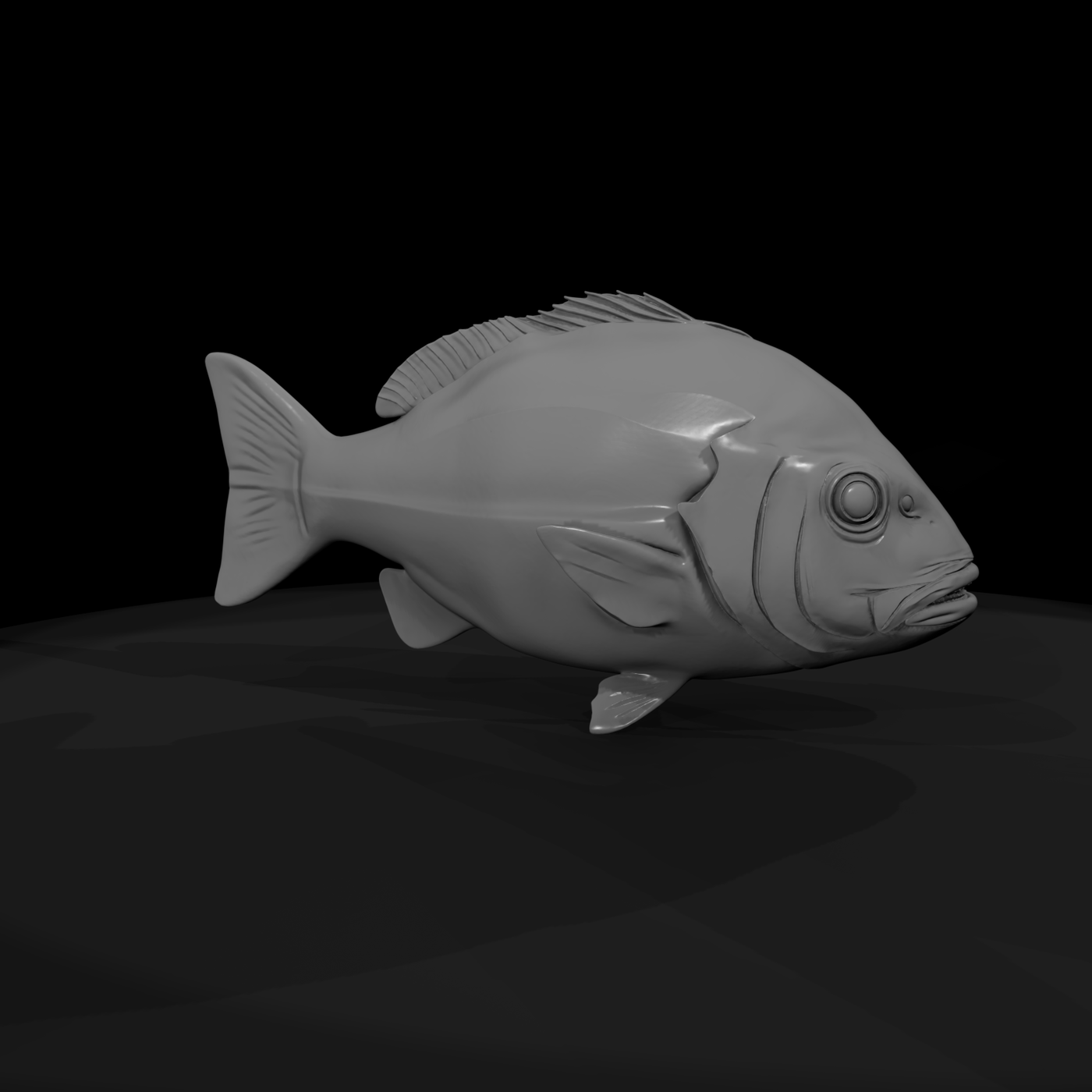 Snapper Fish