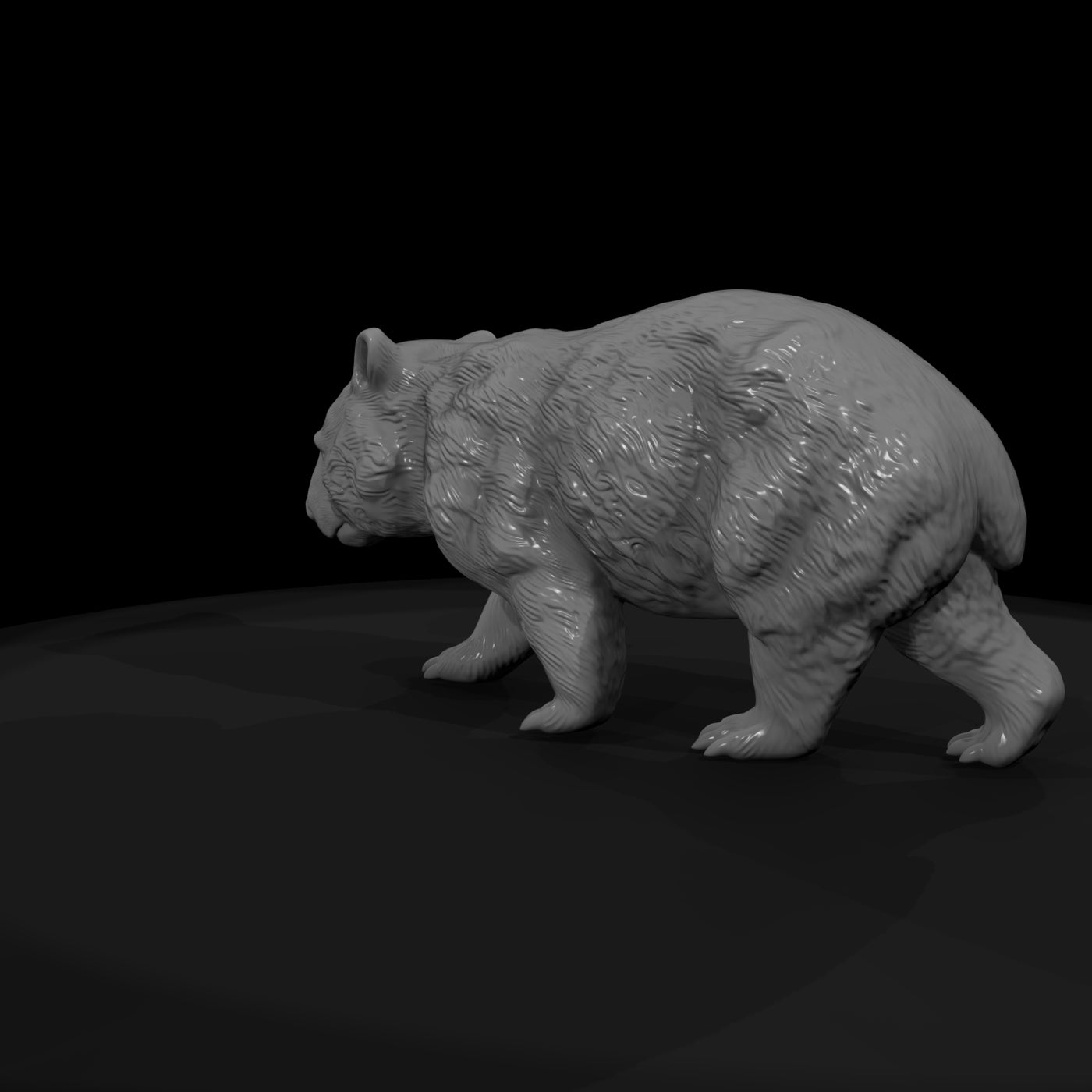 ant-268-common-wombat-male