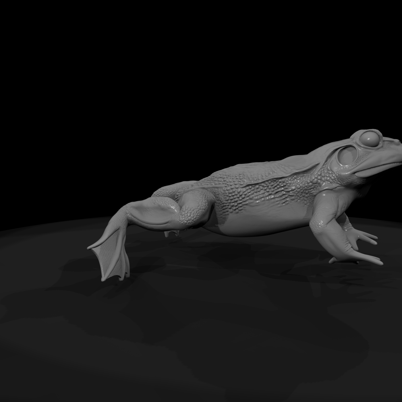 Winged Fantasy Frog