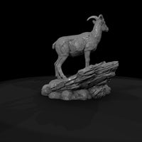 ant-056-bighorn-sheep-female — thumbnail 7