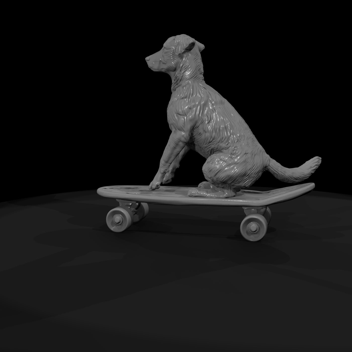 fun-misc-dog-on-skateboar