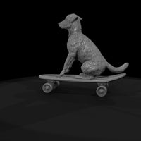 fun-misc-dog-on-skateboar — thumbnail 9