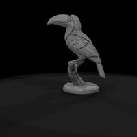 ant-287-toco-toucan-female — thumbnail 7