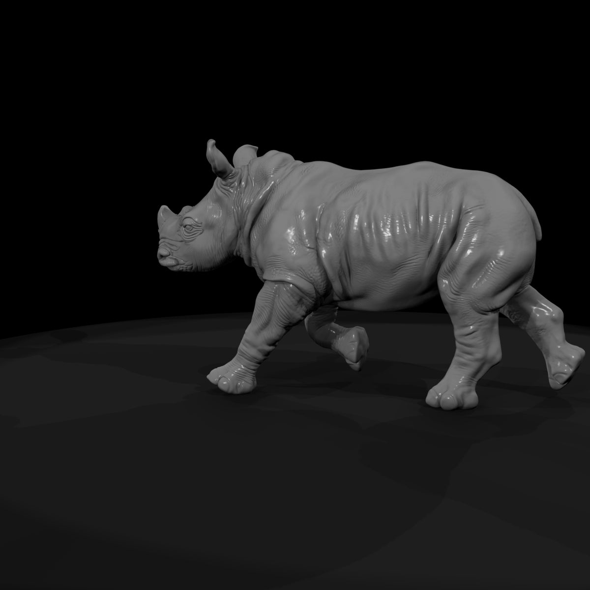 ant-033-white-rhinoceros-adolescent