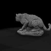 ant-012-cheetah-adolescent — thumbnail 7