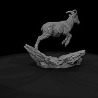 ant-057-bighorn-sheep-adolescent — thumbnail 7