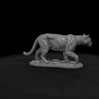ant-145-cougar-male — thumbnail 7
